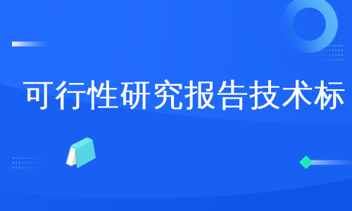 可行性研究报告技术标