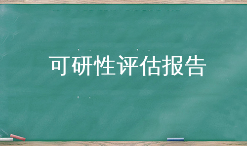 可研性评估报告