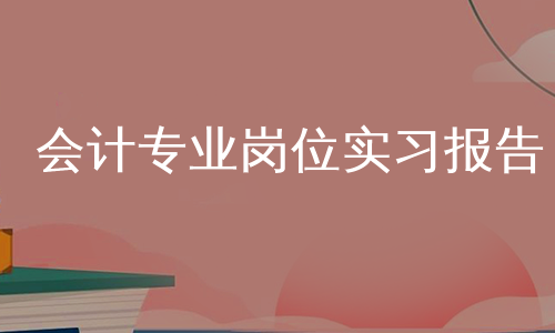 会计专业岗位实习报告