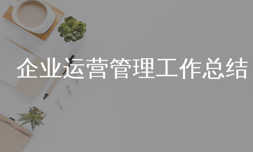 企业运营管理工作总结