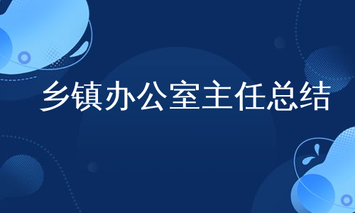 乡镇办公室主任总结