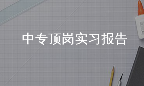 中专顶岗实习报告