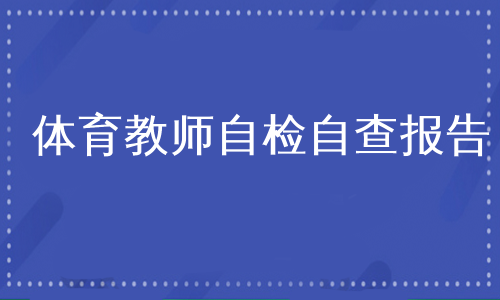 体育教师自检自查报告