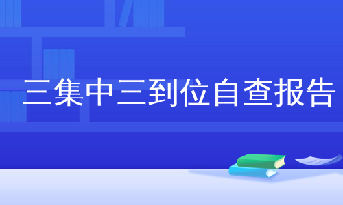 三集中三到位自查报告