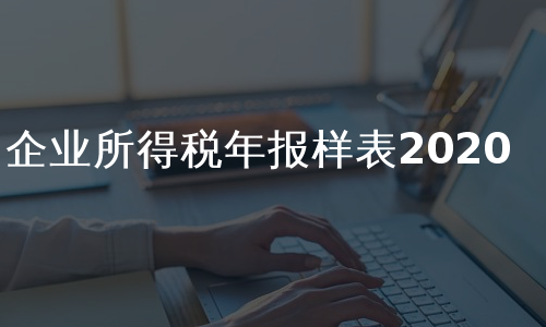 企业所得税年报样表2020