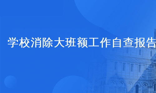 学校消除大班额工作自查报告