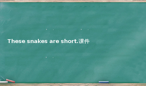 These snakes are short.课件