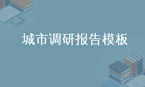 城市调研报告模板