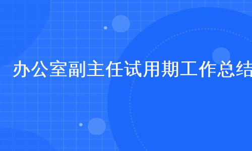 办公室副主任试用期工作总结