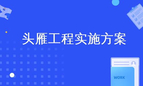 头雁工程实施方案