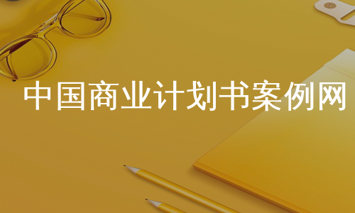 中国商业计划书案例网