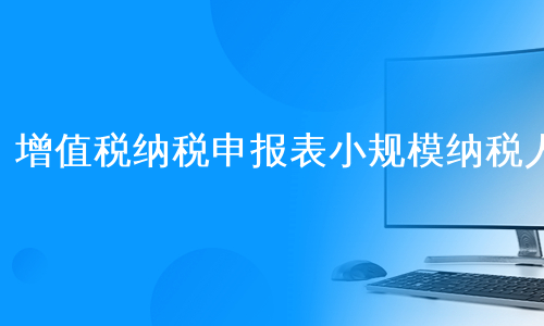 增值税纳税申报表小规模纳税人