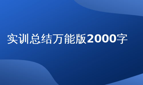 实训总结万能版2000字