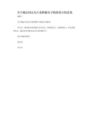 入党积极分子党小组意见