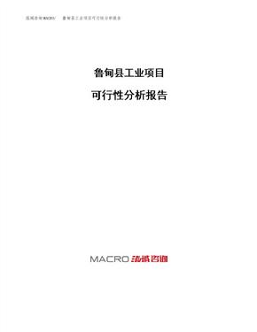 鲁甸县工业项目可行性分析报告