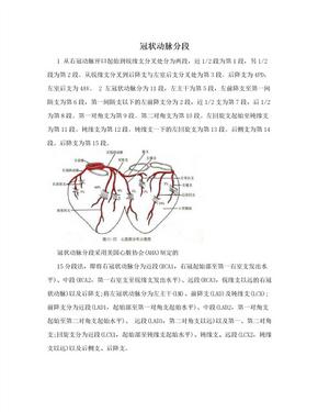 冠状动脉分段
