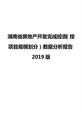 湖南省房地产开发完成投资（按项目规模划分）数据分析报告2019版