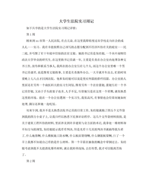 大学生法院实习周记