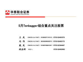 Tenbagger华泰联合201005