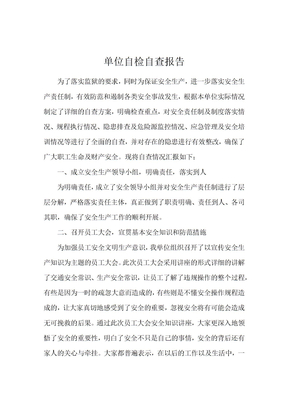 单位自检自查报告