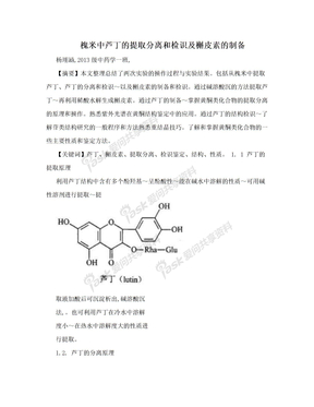 槐米中芦丁的提取分离和检识及槲皮素的制备