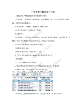 中文数据库检索实习作业