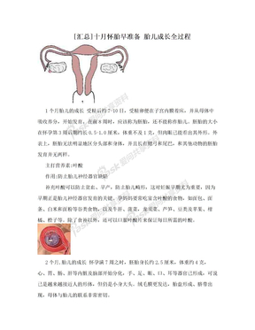 [汇总]十月怀胎早准备 胎儿成长全过程