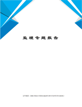 监理专题报告