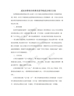 武汉市禁毒宣传教育进学校试点项目方案