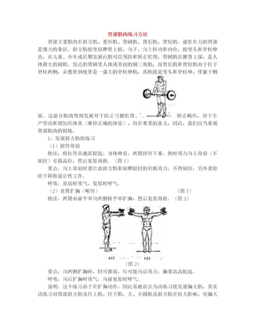 背部肌肉练习方法