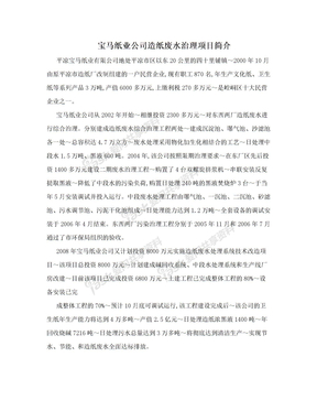 宝马纸业公司造纸废水治理项目简介