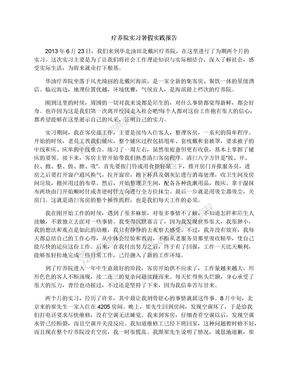 疗养院实习暑假实践报告