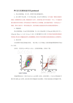 PI染色检测细胞周期protocol