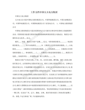 工作文档中国五大电力集团