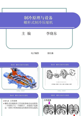 制冷原理与设备_螺杆式制冷压缩机