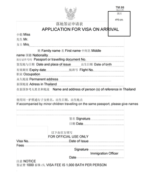 泰国落地签证申请表
