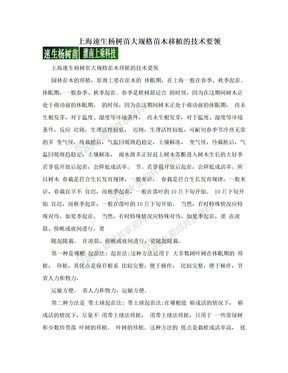 上海速生杨树苗大规格苗木移植的技术要领