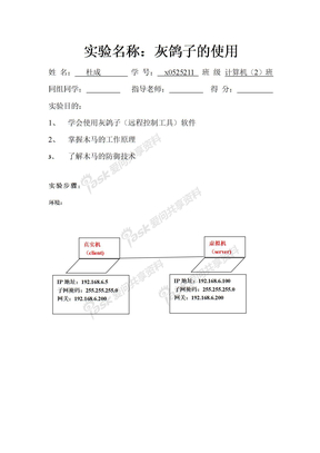 x0525211 灰鸽子实验