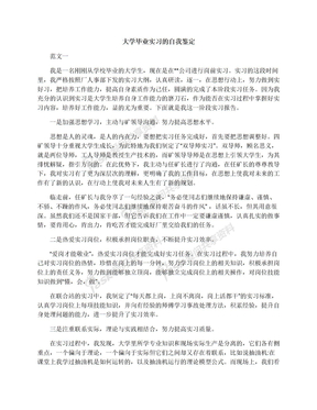 大学毕业实习的自我鉴定