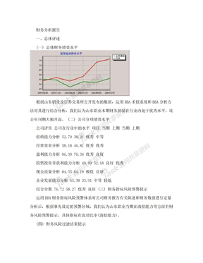 财务分析报告