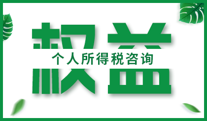 个人所得税咨询-图片13