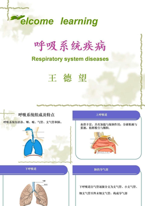 呼吸系统疾病(专)