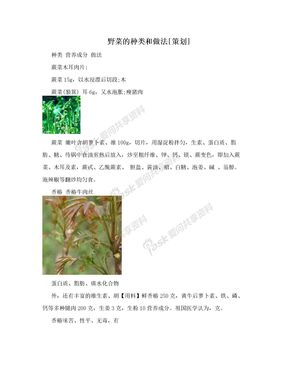 野菜的种类和做法[策划]