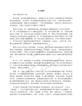 实习感想