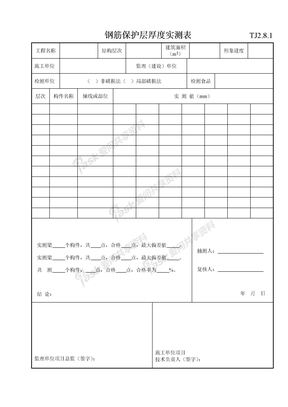 029 钢筋保护层厚度实测表