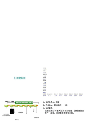 公司组织架构