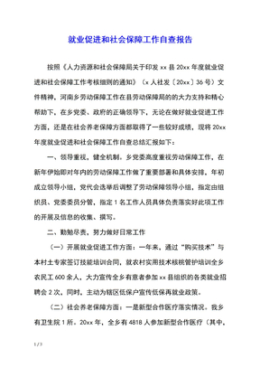 就业促进和社会保障工作自查报告