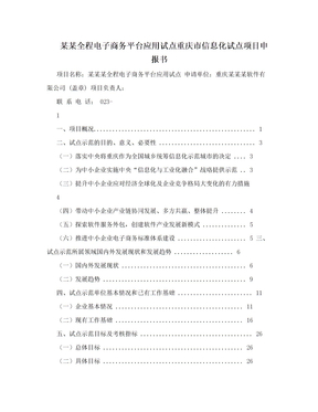 某某全程电子商务平台应用试点重庆市信息化试点项目申报书