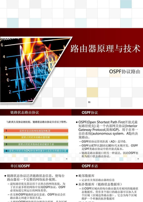 ospf协议详解-文档资料