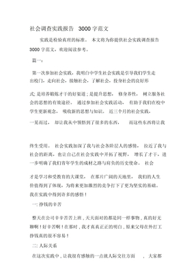 社会调查实践报告3000字范文-文档